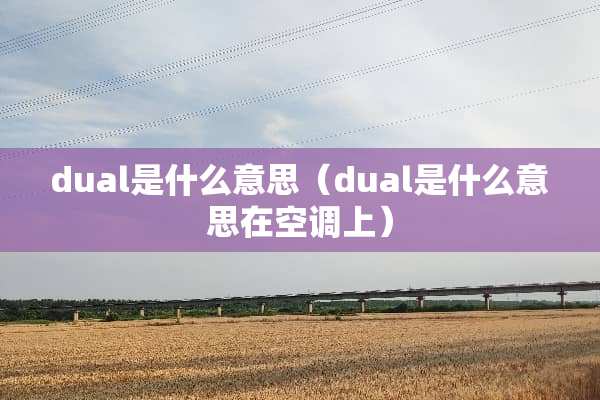 dual是什么意思（dual是什么意思在空调上）