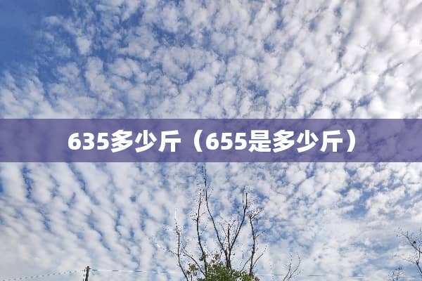 635多少斤（655是多少斤）