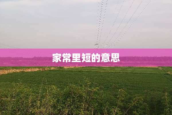 家常里短的意思
