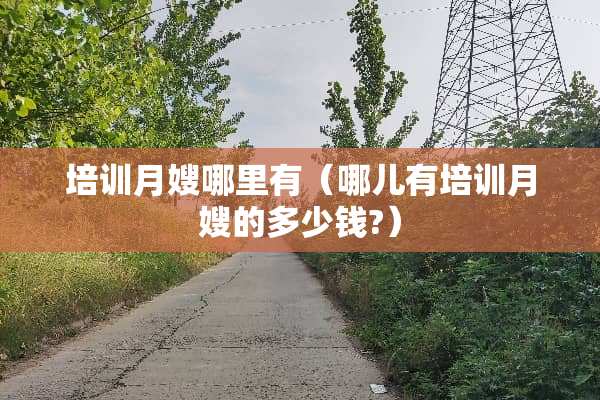 培训月嫂哪里有（哪儿有培训月嫂的多少钱?）
