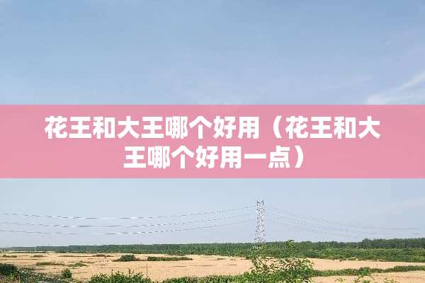 花王和大王哪个好用（花王和大王哪个好用一点）