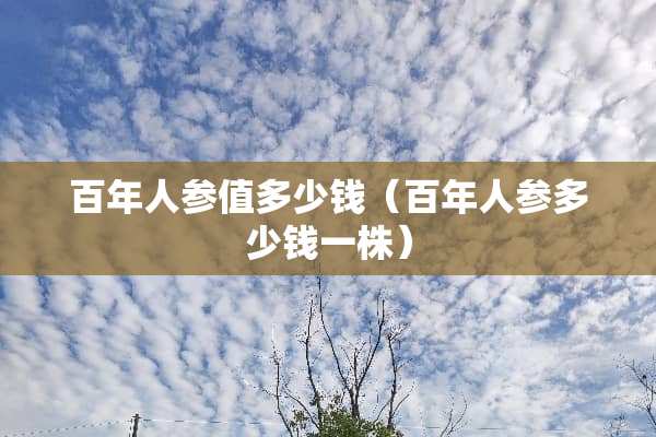 百年人参值多少钱（百年人参多少钱一株）