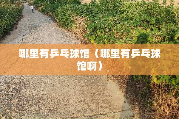 哪里有乒乓球馆（哪里有乒乓球馆啊）
