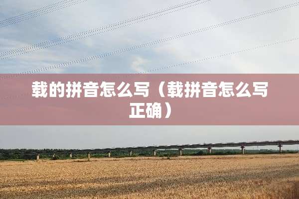 载的拼音怎么写（载拼音怎么写正确）