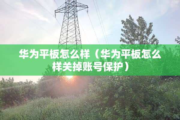 华为平板怎么样（华为平板怎么样关掉账号保护）