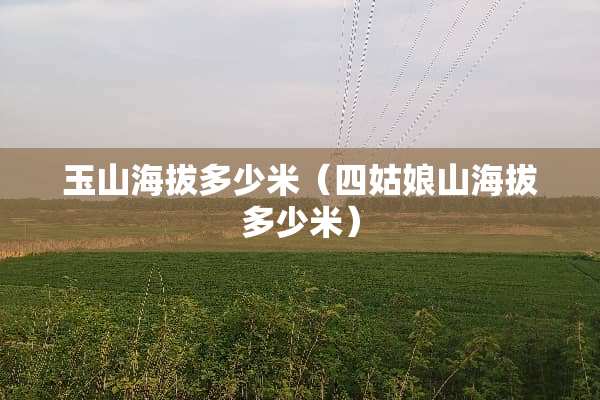 玉山海拔多少米（四姑娘山海拔多少米）