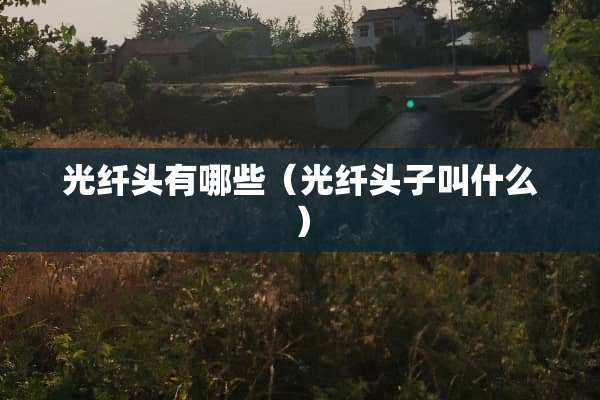 光纤头有哪些（光纤头子叫什么）