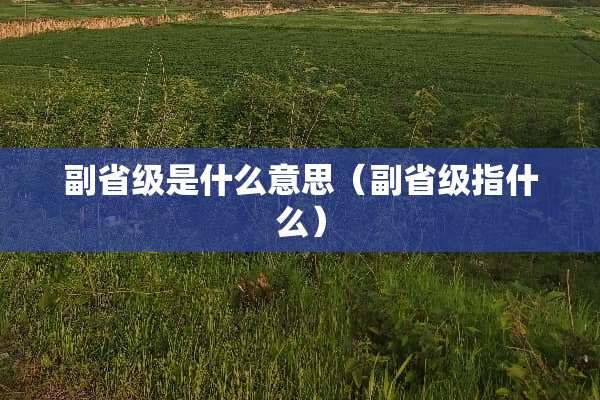 副省级是什么意思（副省级指什么）