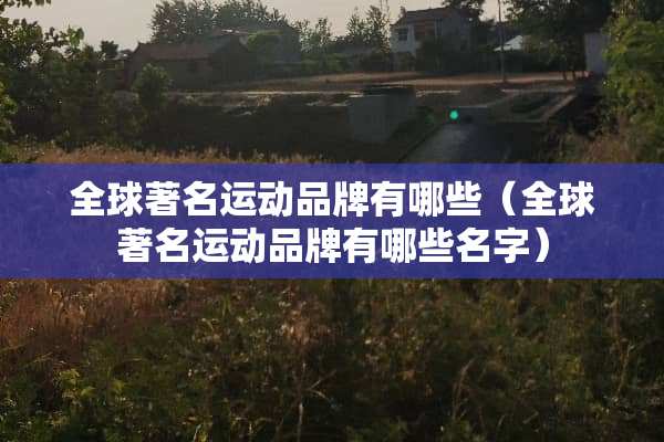 全球著名运动品牌有哪些（全球著名运动品牌有哪些名字）