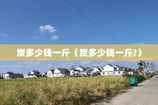 炭多少钱一斤（炭多少钱一斤?）