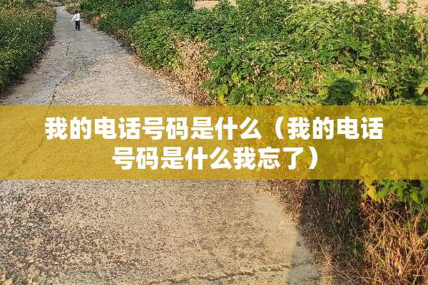 我的电话号码是什么（我的电话号码是什么我忘了）