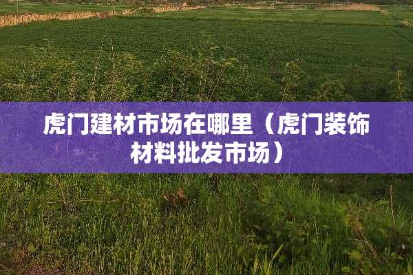 虎门建材市场在哪里（虎门装饰材料批发市场）