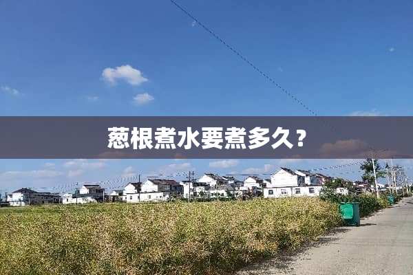 葱根煮水要煮多久？