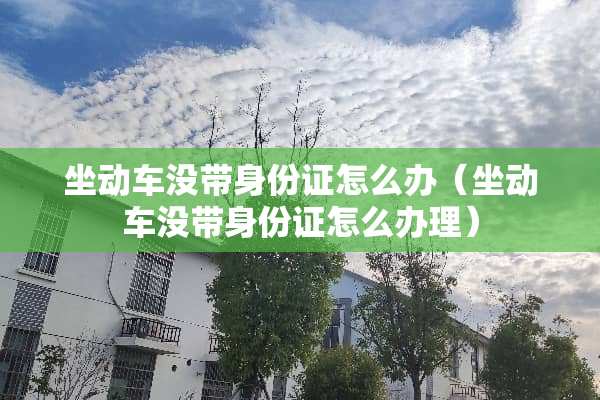 坐动车没带***怎么办（坐动车没带***怎么办理）
