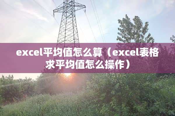 excel平均值怎么算（excel表格求平均值怎么操作）