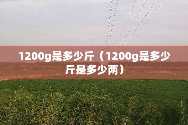 1200g是多少斤（1200g是多少斤是多少两）