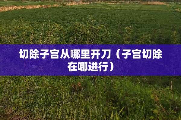 切除子宫从哪里开刀（子宫切除在哪进行）