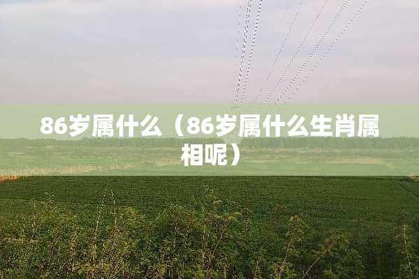 86岁属什么（86岁属什么生肖属相呢）