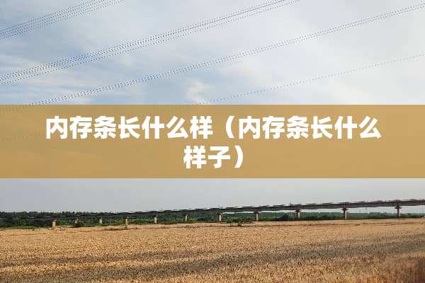 内存条长什么样（内存条长什么样子）