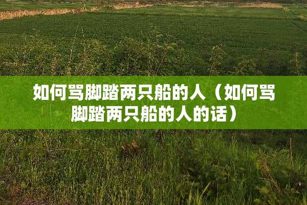 如何骂脚踏两只船的人（如何骂脚踏两只船的人的话）