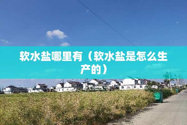 软水盐哪里有（软水盐是怎么生产的）