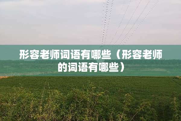 形容老师词语有哪些（形容老师的词语有哪些）