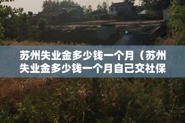 苏州失业金多少钱一个月（苏州失业金多少钱一个月自己交社保多少钱一个月）