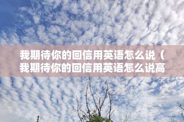 我期待你的回信用英语怎么说（我期待你的回信用英语怎么说高级）
