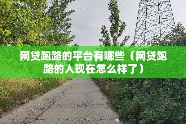 **跑路的平台有哪些（**跑路的人现在怎么样了）