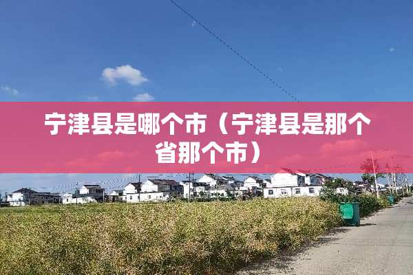 宁津县是哪个市（宁津县是那个省那个市）
