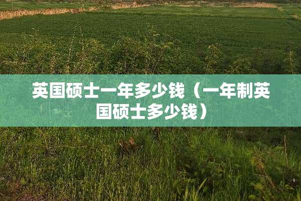英国硕士一年多少钱（一年制英国硕士多少钱）