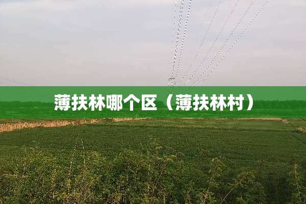 薄扶林哪个区（薄扶林村）