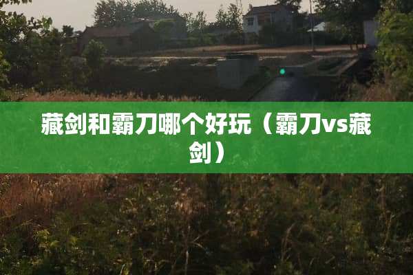 藏剑和霸刀哪个好玩（霸刀vs藏剑）