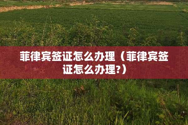 菲律宾签证怎么办理（菲律宾签证怎么办理?）