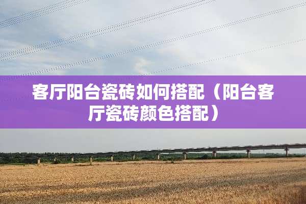 客厅阳台瓷砖如何搭配（阳台客厅瓷砖颜色搭配）
