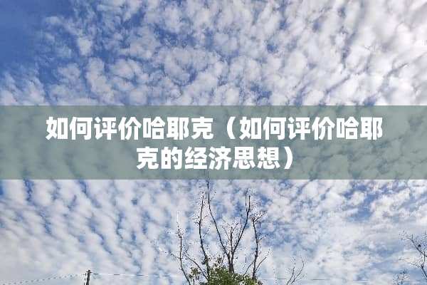 如何评价哈耶克（如何评价哈耶克的经济思想）