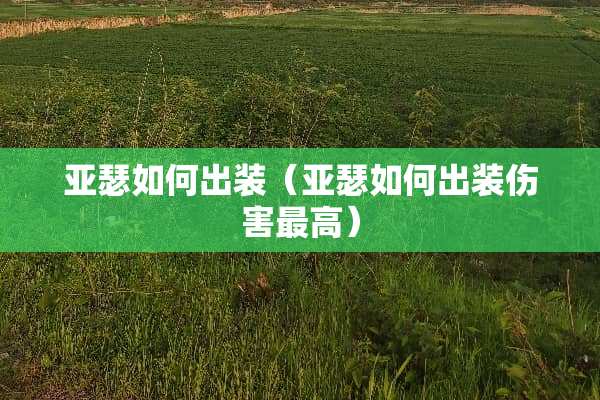 亚瑟如何出装（亚瑟如何出装伤害最高）