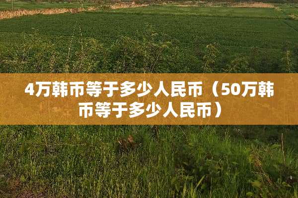 4万韩币等于多少人民币（50万韩币等于多少人民币）
