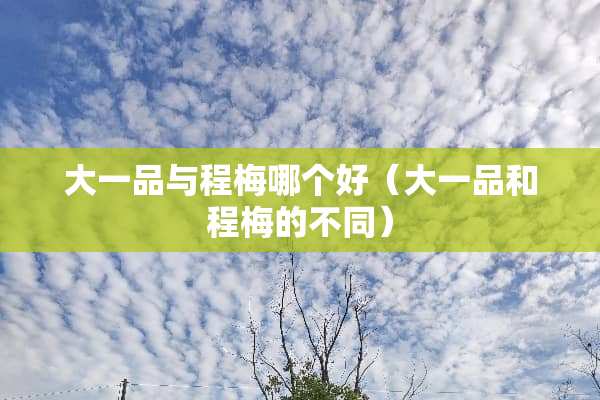 大一品与程梅哪个好（大一品和程梅的不同）