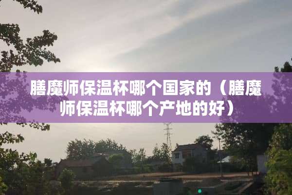 膳魔师保温杯哪个国家的（膳魔师保温杯哪个产地的好）