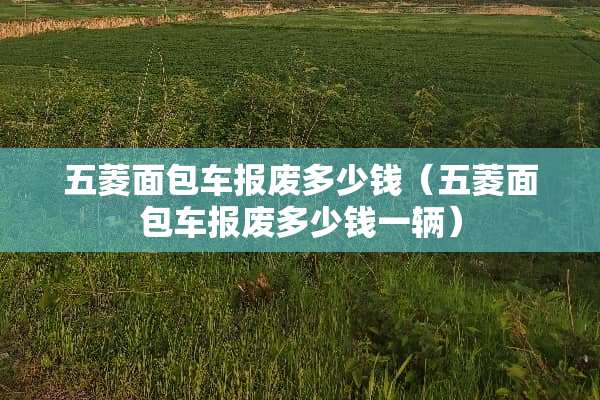 五菱面包车报废多少钱（五菱面包车报废多少钱一辆）