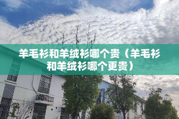 羊毛衫和羊绒衫哪个贵（羊毛衫和羊绒衫哪个更贵）