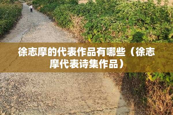 徐志摩的代表作品有哪些（徐志摩代表诗集作品）
