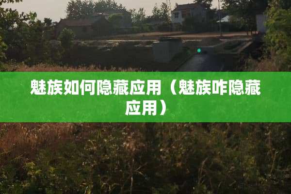 魅族如何隐藏应用（魅族咋隐藏应用）