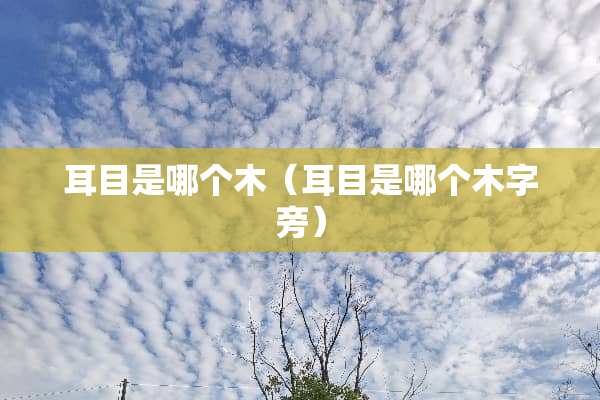 耳目是哪个木（耳目是哪个木字旁）