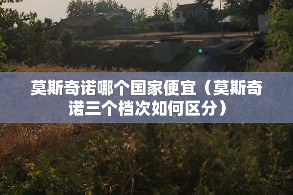 莫斯奇诺哪个国家便宜（莫斯奇诺三个档次如何区分）