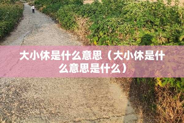 大小休是什么意思（大小休是什么意思是什么）