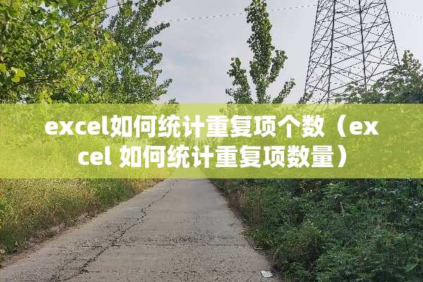excel如何统计重复项个数（excel 如何统计重复项数量）
