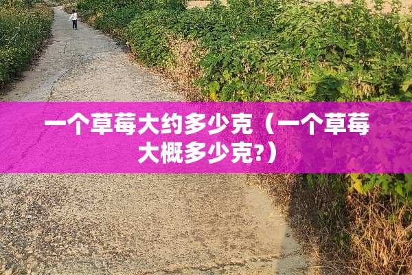 一个草莓大约多少克（一个草莓大概多少克?）