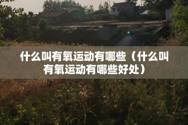 什么叫有氧运动有哪些（什么叫有氧运动有哪些好处）